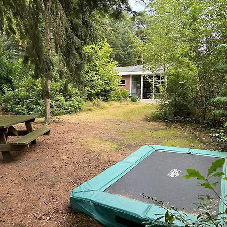 Relaxen In Het Bos Met Privesauna 홀텐 외부 사진