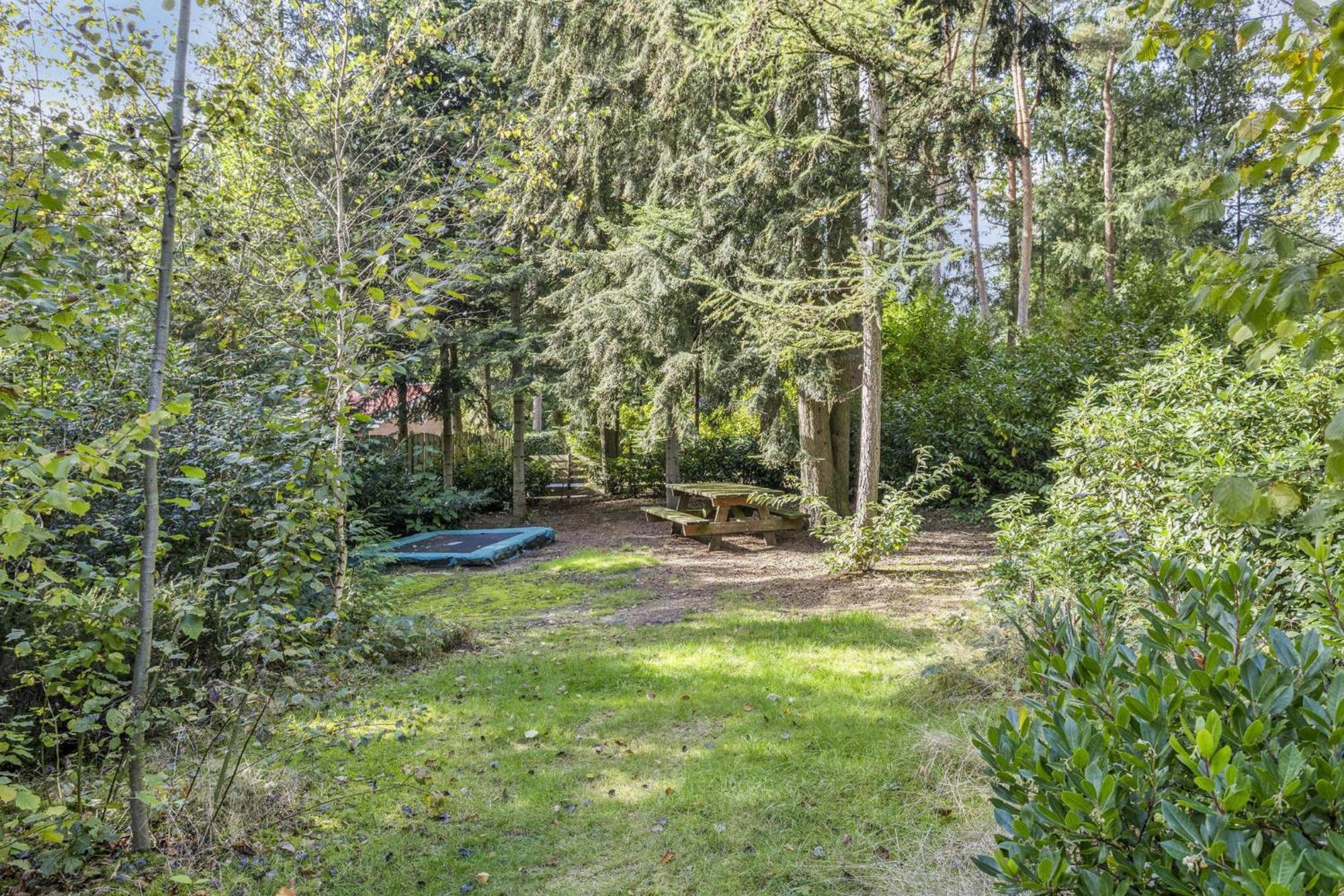 Relaxen In Het Bos Met Privesauna 홀텐 외부 사진