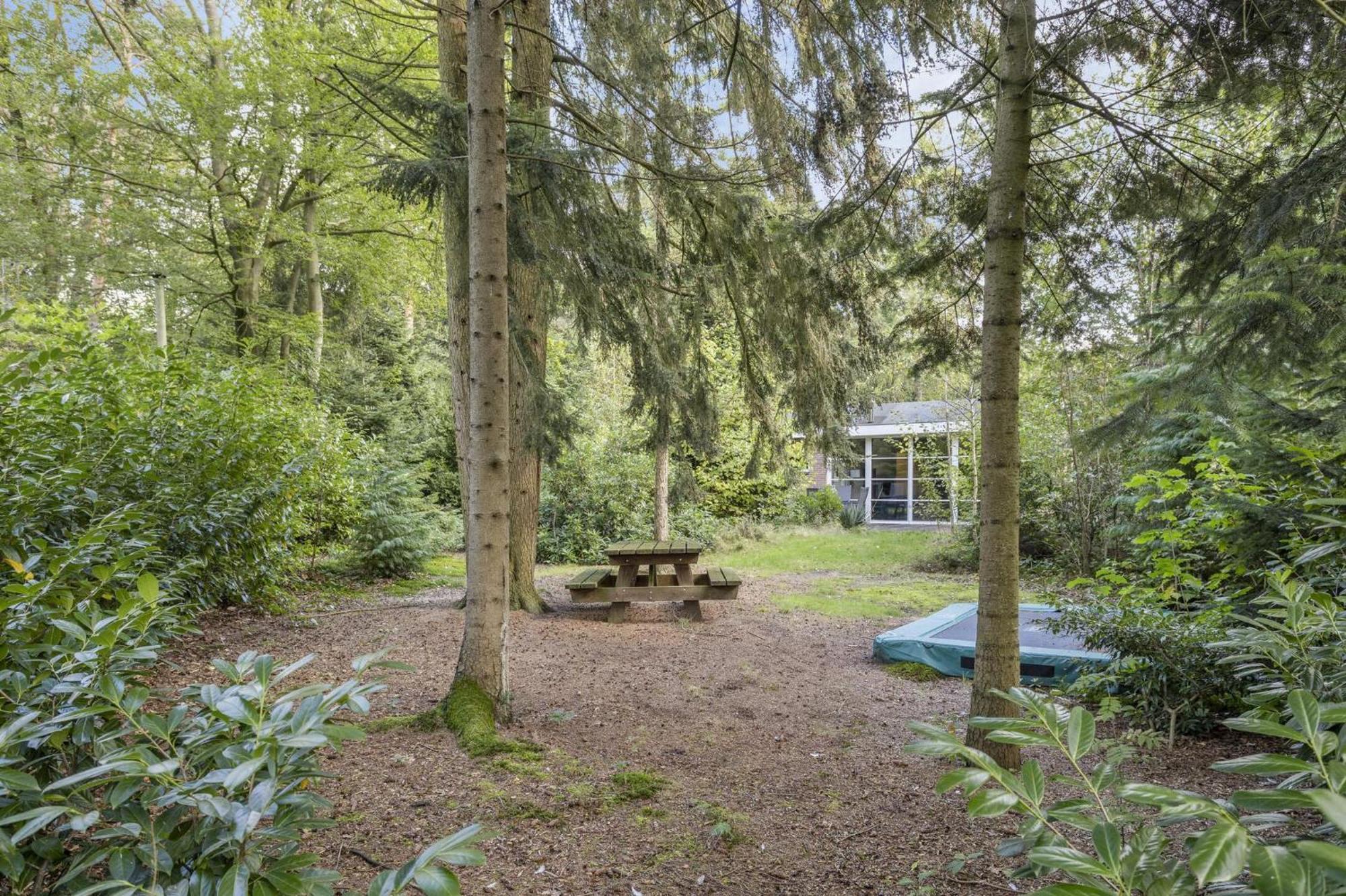 Relaxen In Het Bos Met Privesauna 홀텐 외부 사진